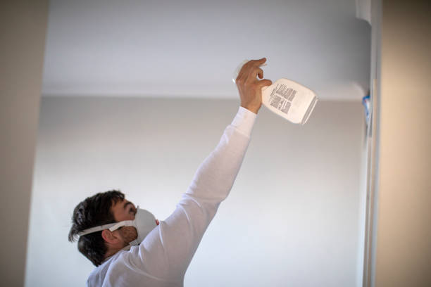 Best Kitchen Mold Remediation in Brady, TX